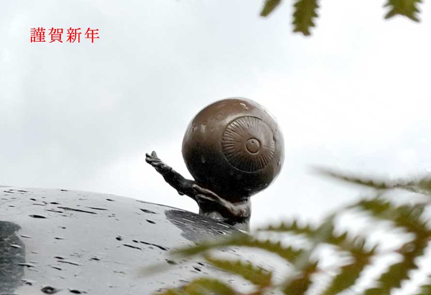 މVN
