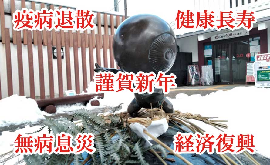 މVN